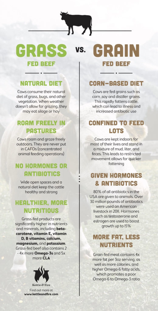 Grain Vs Grass Fed Cow Health Benefits